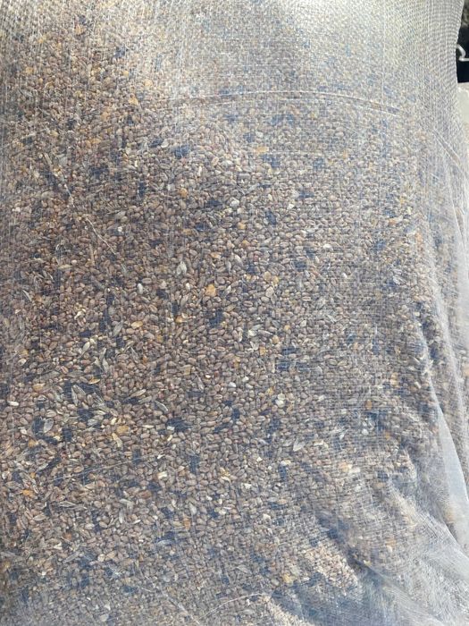 Pasza dla kur niosek SYPKA ze słonecznikiem 25 kg - Hurtownia Pasz Święte