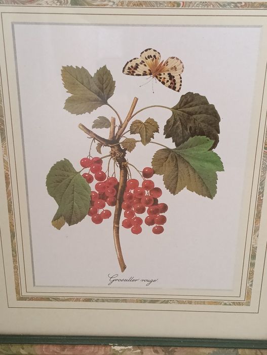 Beautiful decorative frames64740754080130124