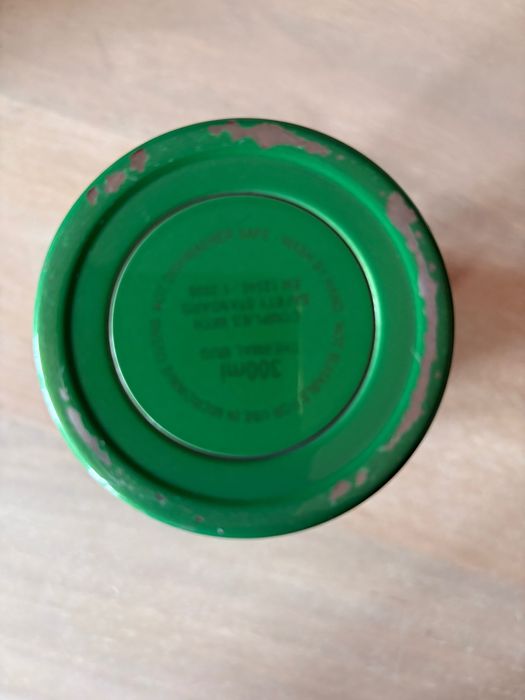 Termo Lifeventure verde vibrante