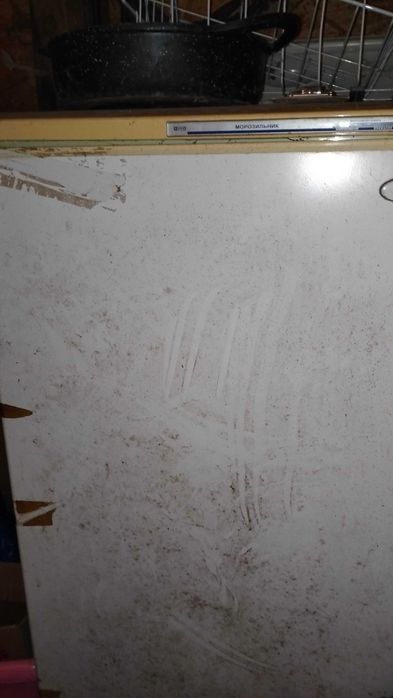 Морозильна холодильна  камера Атлант, та Gorenje No Frost нерж