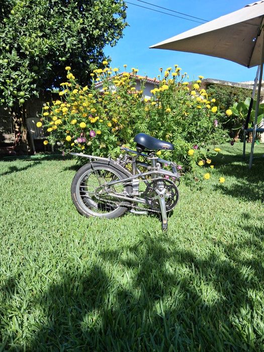 Dahon Classic III