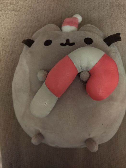 Świateczny Pusheen Christmas