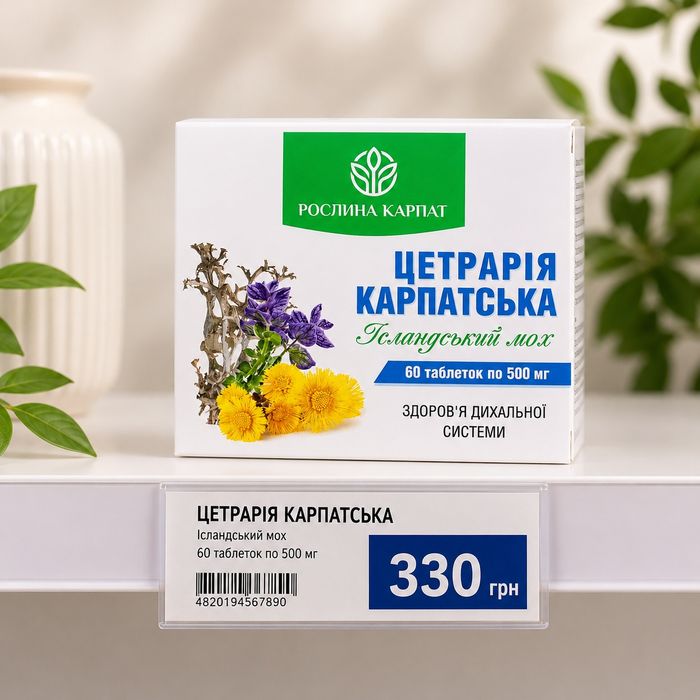 Цетрарія Карпатська від рослини карпат