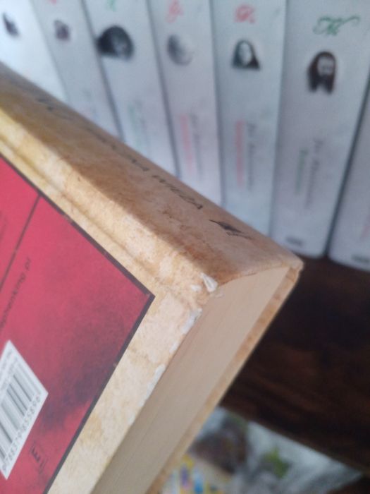 Stephen King - Cykl Mroczna Wieża