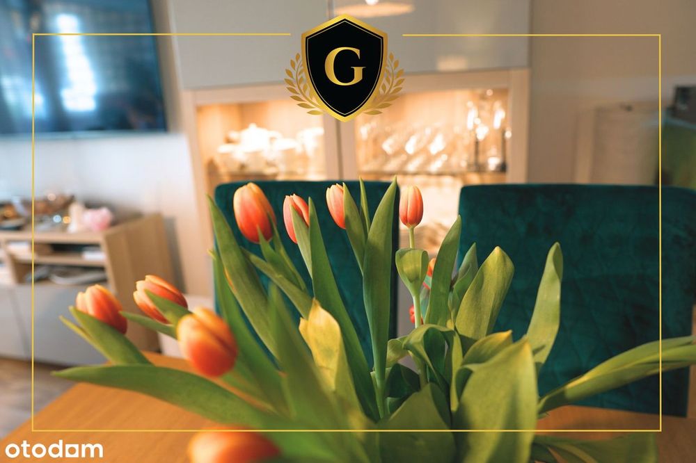 85m² jak dom! | Parter 3 pokoje | Balkon | Zielona okolica | Parking