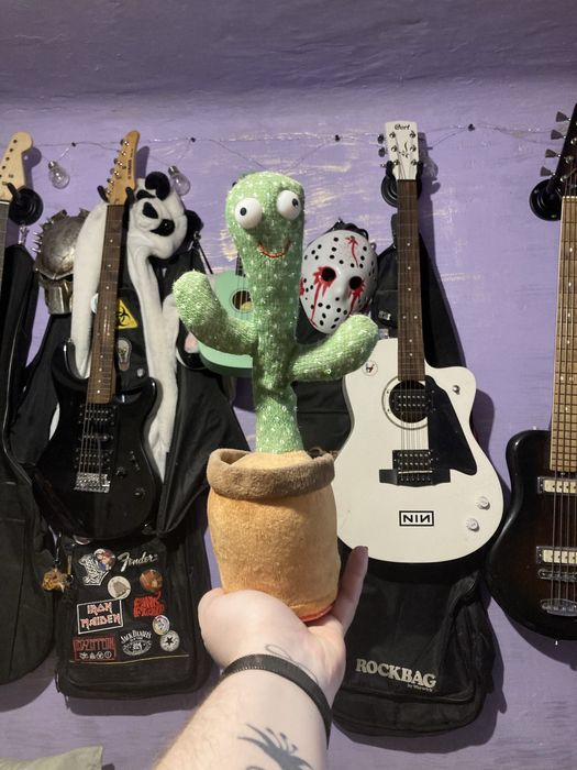 Той самий мемний кактус із тік-тока.