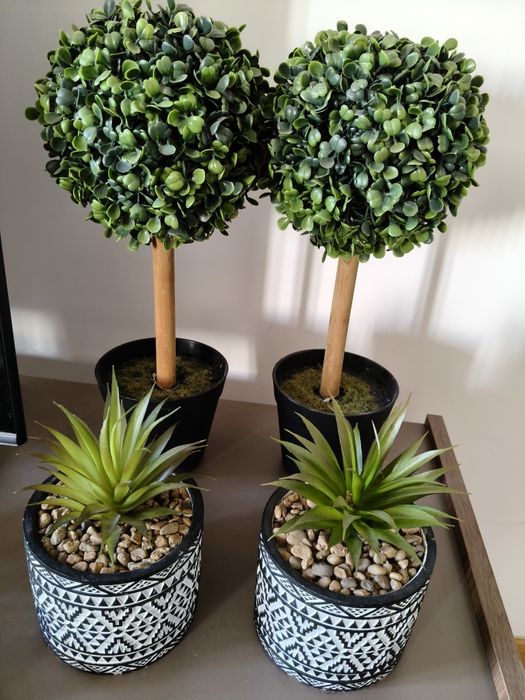 Decoração  de casa.