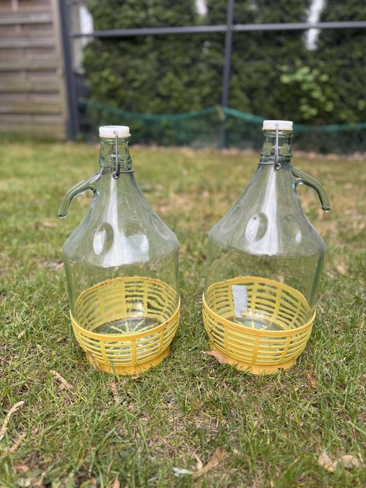 Gąsior Dama 5L w koszyku plastikowym