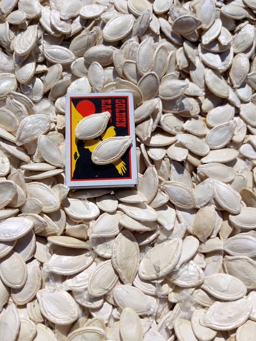 Продам !!
Продам посівний матеріал 
Сорт Українка багатоплідна 
Ціна 1