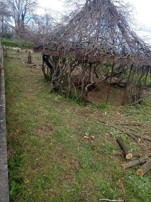 Limpeza de terrenos.