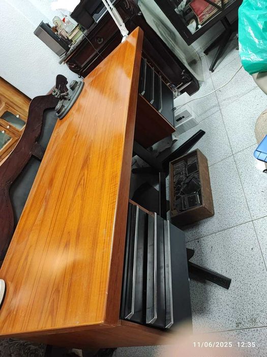Secretária Daciano da Costa Linha Cortez
