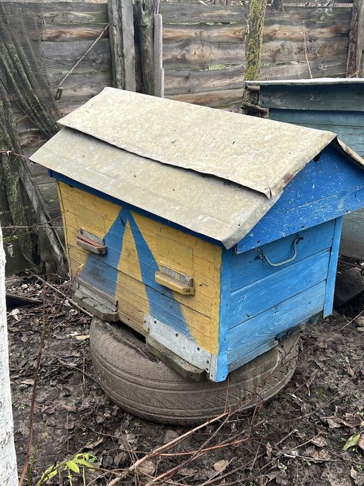 вулики без бджіл