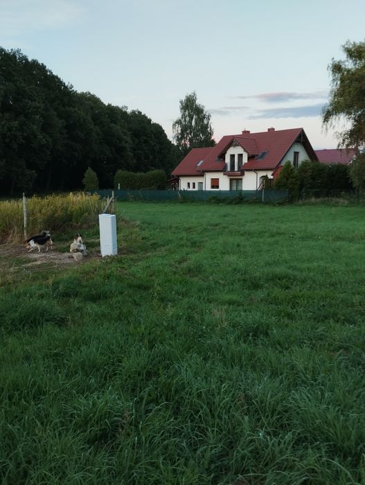 Działka 1430 m² Siemianice, gmina Oborniki Śląskie