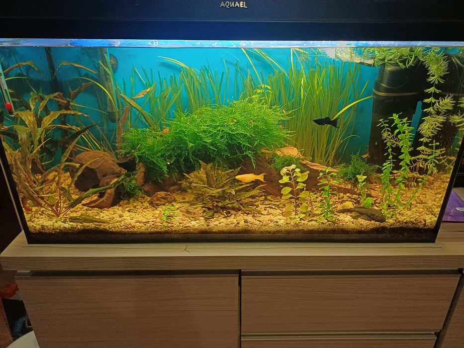 Sprzedam akwarium 120l
