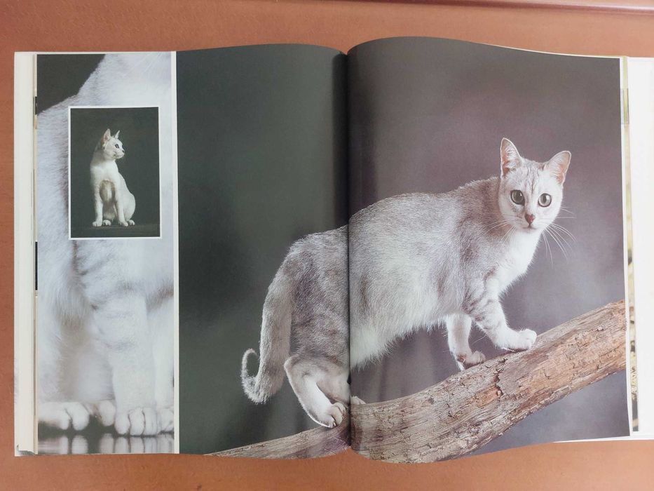 Coleção Enciclopédia do Gato Royal Canin – Volumes 1 e 2