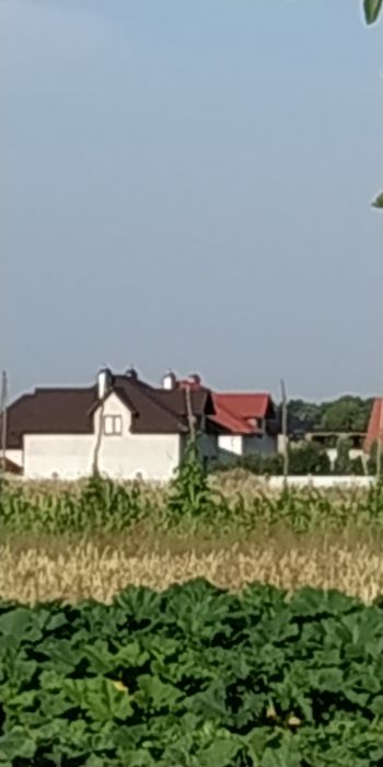 Продам земельну ділянку в с. Конопниці