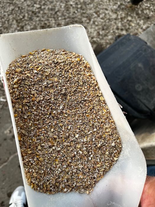 Pasza dla kur - worek 20 kg od rolnika