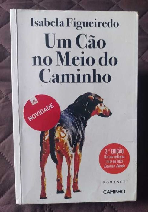 Um Cão no Meio do Caminho - Isabela Figueiredo
