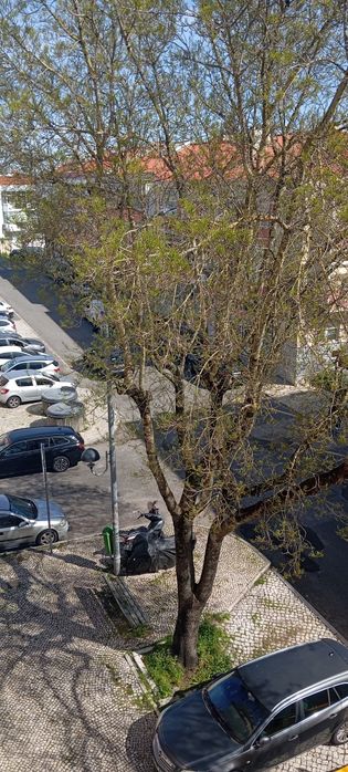 Quarto para arrendar,ler descrição