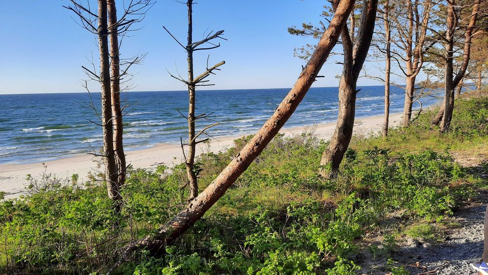 Wielkanoc,Elegancki Apartament