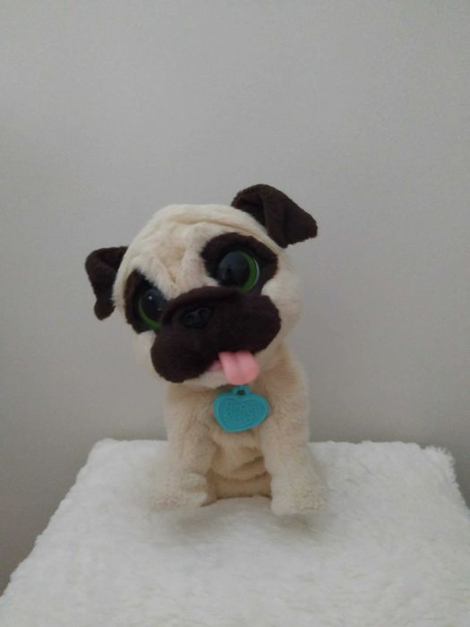Unicórnio ou Bebé gatinha ou Cão