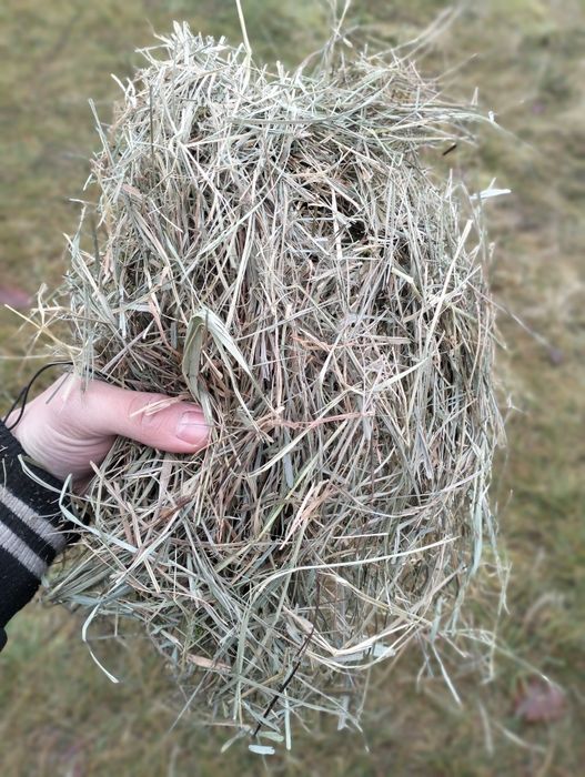 Siano dla koni alergików! Siano w belach baloty sezon 2025 siatka dla