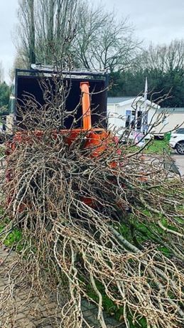 Usługi rębak zrębkowanie gałęzi wycinka drzew czyszczenie działek