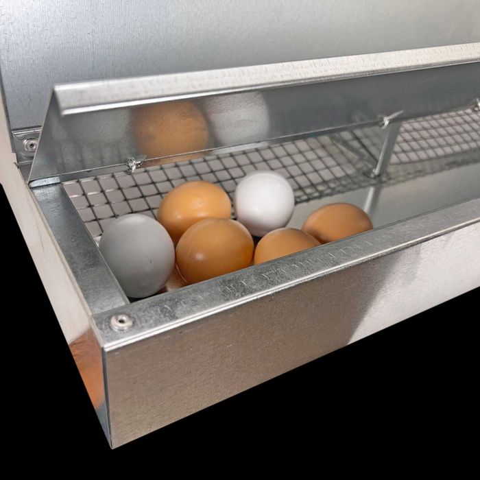 Jaula Galinheiro Exterior galinhas 2 ninhos com escada