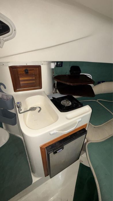 Barco Lema Gold