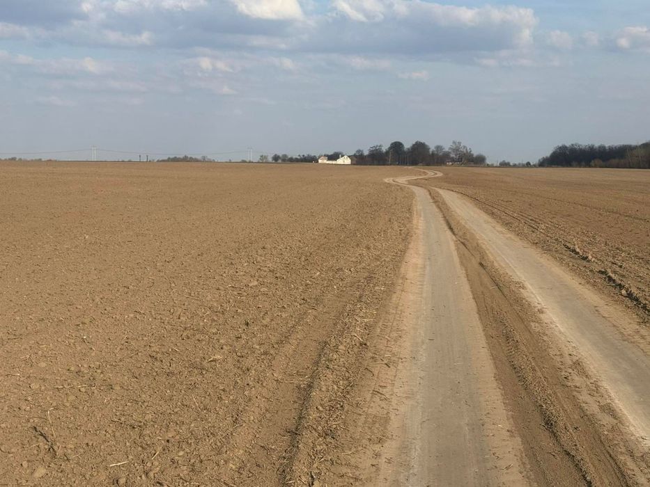 Продам пай 2.2 га в Колоденці є доїзд. Місцевість рівнинна