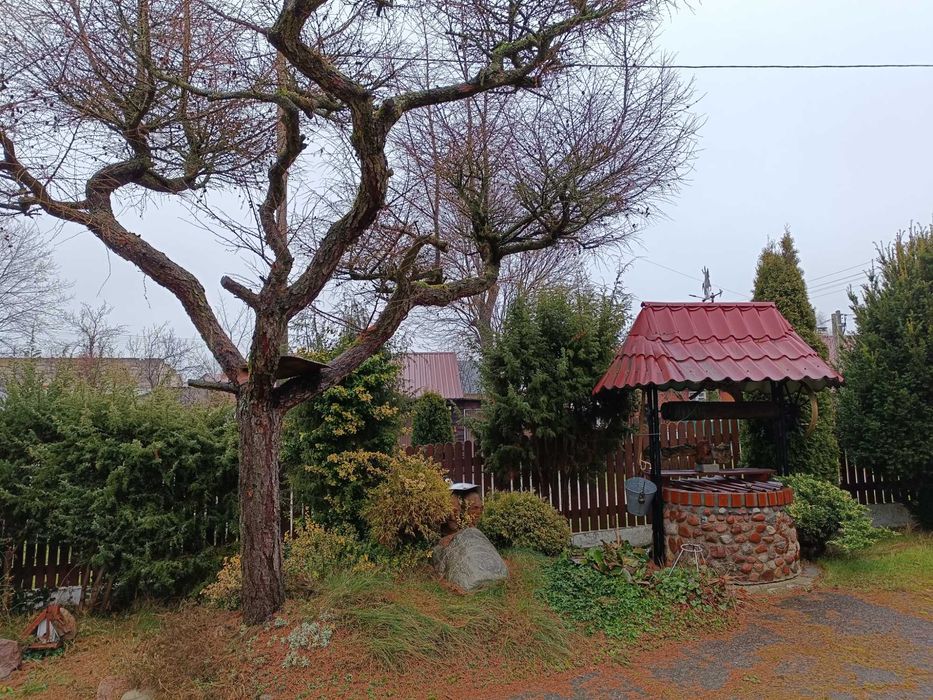 Perełka w Narwi - dom na pięknej działce na sprzedaż