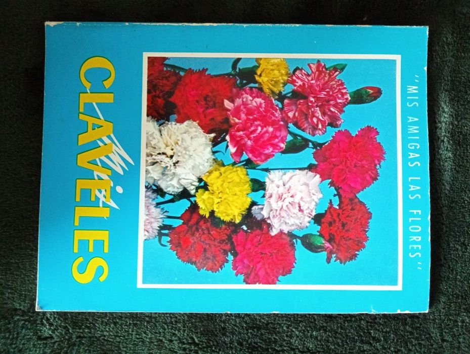 Mis amigas las flores - Mis Claveles - 1973
Barcelona, 1973