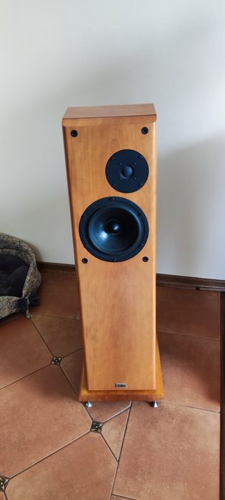 CURA CA-21  1290 funtów kolumny głośnikowe podłogowe ste