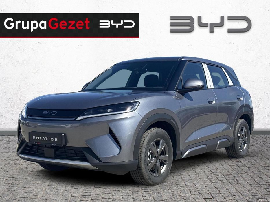 BYD Pozostałe BYD