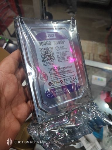 Western Digital purple 500GB