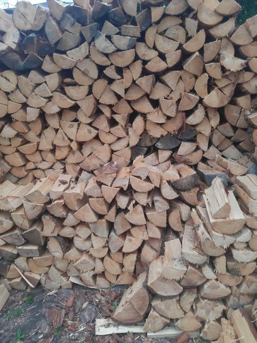 Drzewo opałowe, kominkowe