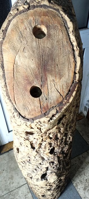 vendo sepo. madeira para garrafeira