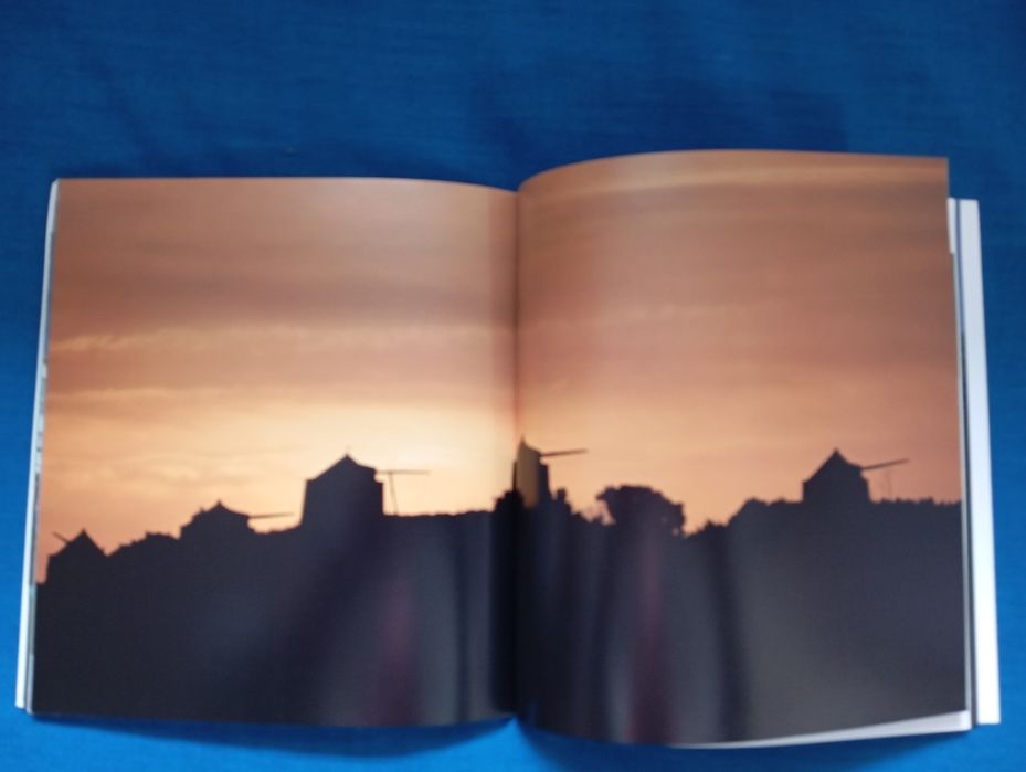 Livro " os templários"