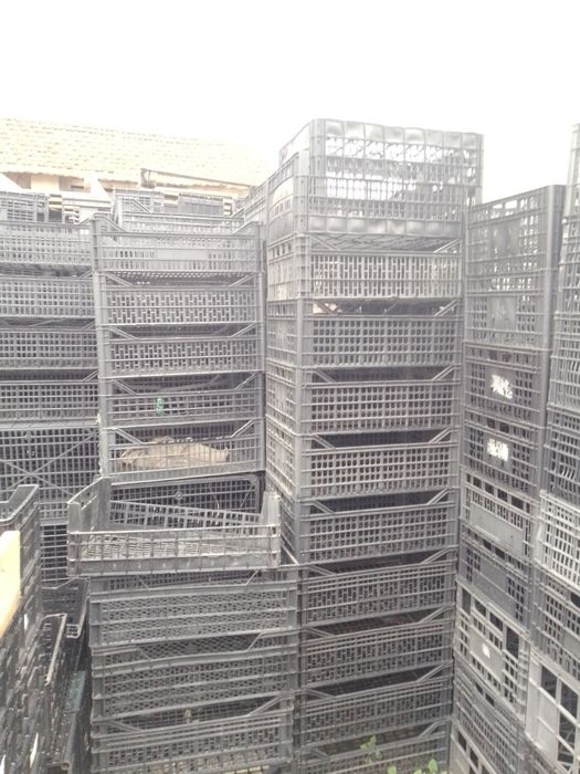 Caixas para Horta 750