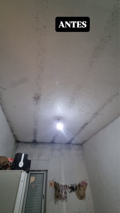 Tratamento de Mofo e Humidade | Serviço Profissional