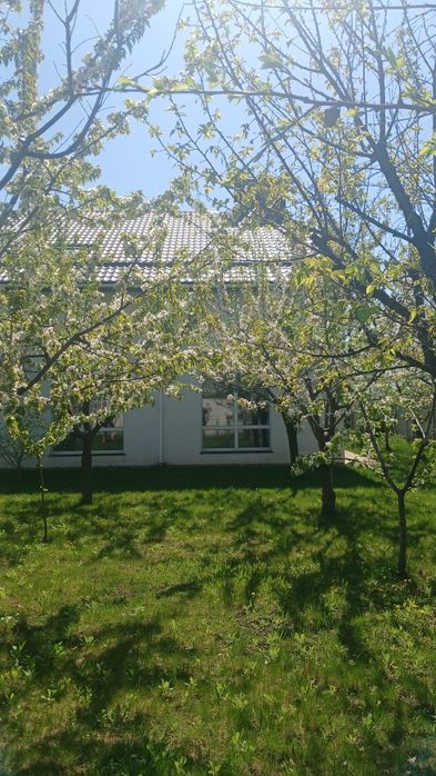 Продам будинок 5 км від Знака Кременчук село Піщане
