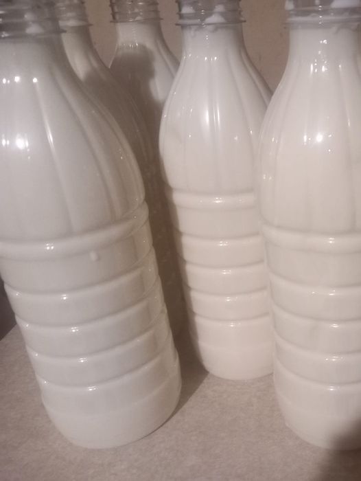 Witam sprzedam mleko kozie