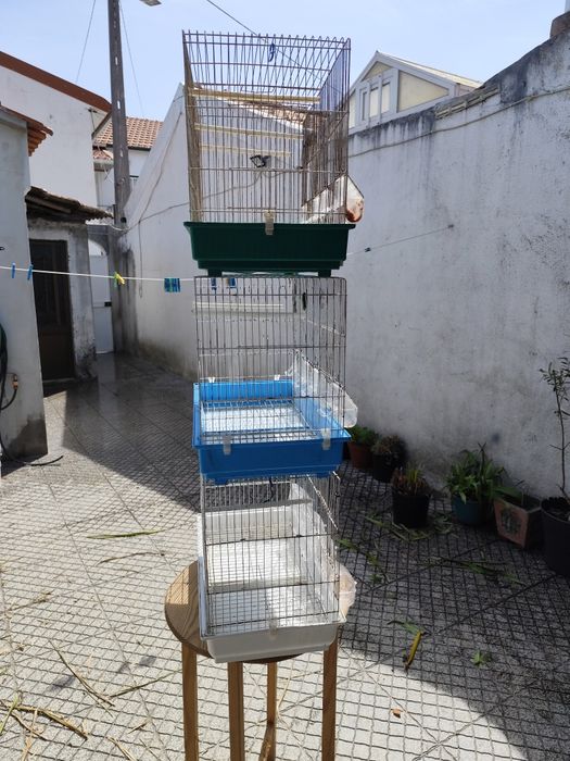 Conjunto de cinto gaiolas para canários