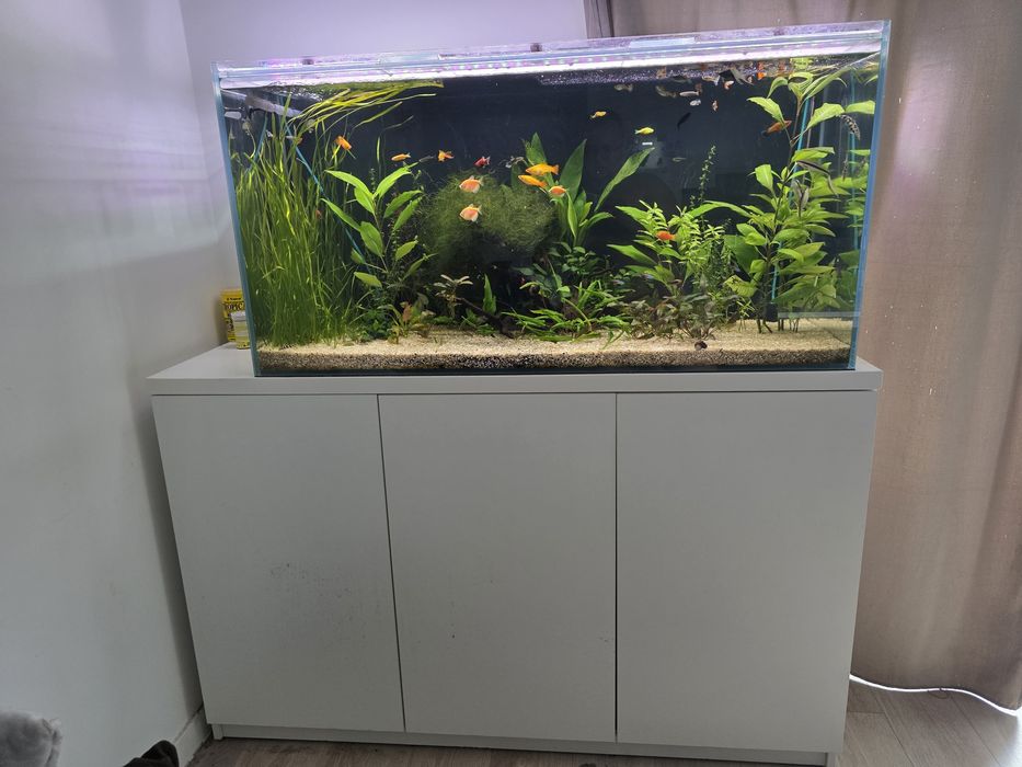 Akwarium optiwhite 288l
