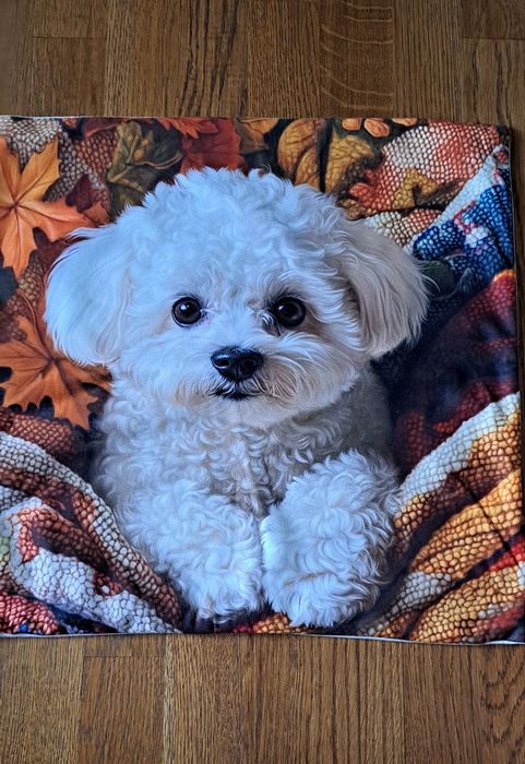 Наволочки нові з принтами  собачок(болонка) 45×45