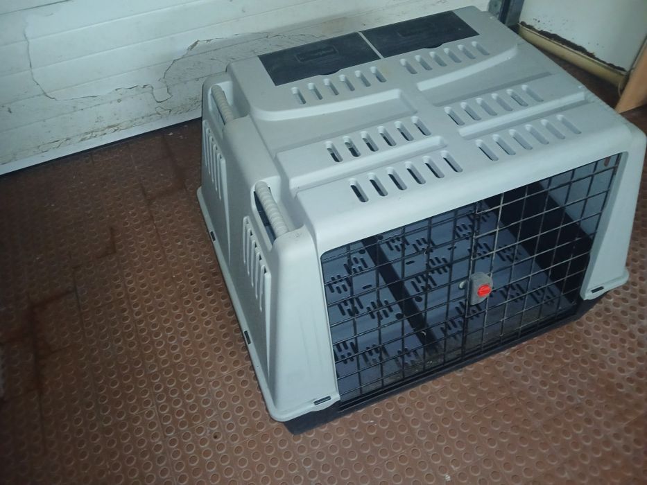 Transportadora para cão grande