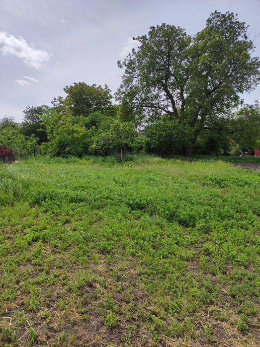 Продам будинок (із земельною ділянкою)