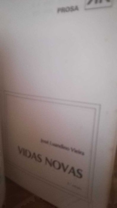 Vidas novas - José Luandino Vieira