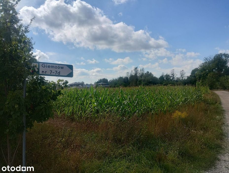 Duża Działka Z Pozwoleniem Na Budowę. Blisko Łodzi !!! - Widok 4