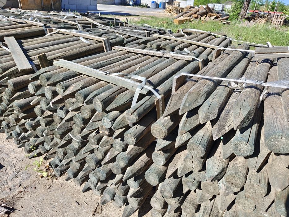 Paliki melioracyjne/ kołki faszynowe/ palisada